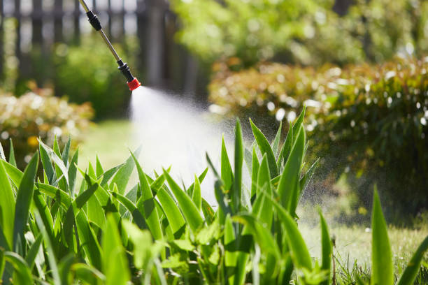 24/7 Emergency Fumigation Services experts in Turner, OR