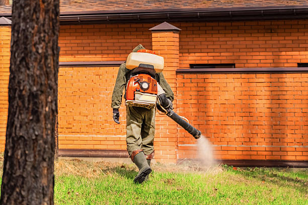 Top rated local Fumigation Services specialists in Turner, OR